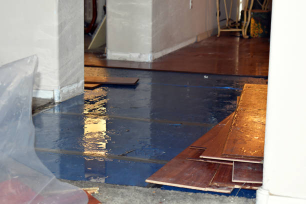 Professional Water Damage Restoration technician working in Centreville, VA